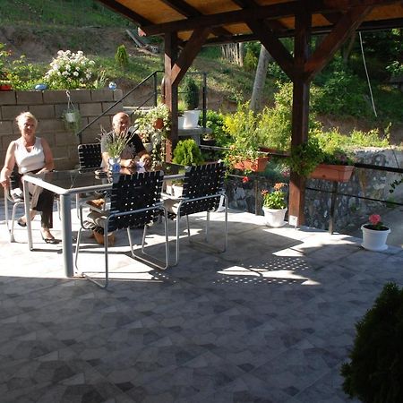 Apartment Danubius Donji Milanovac Luaran gambar