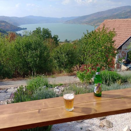 Apartment Danubius Donji Milanovac Luaran gambar