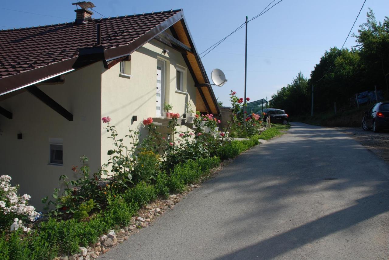 Apartment Danubius Donji Milanovac Luaran gambar