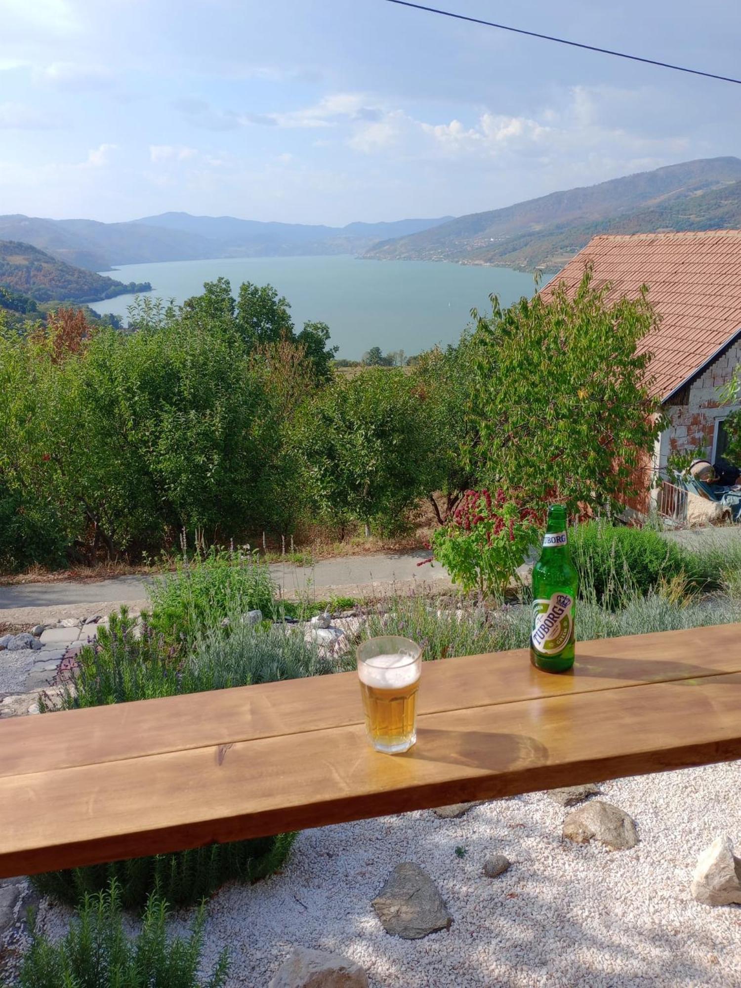 Apartment Danubius Donji Milanovac Luaran gambar